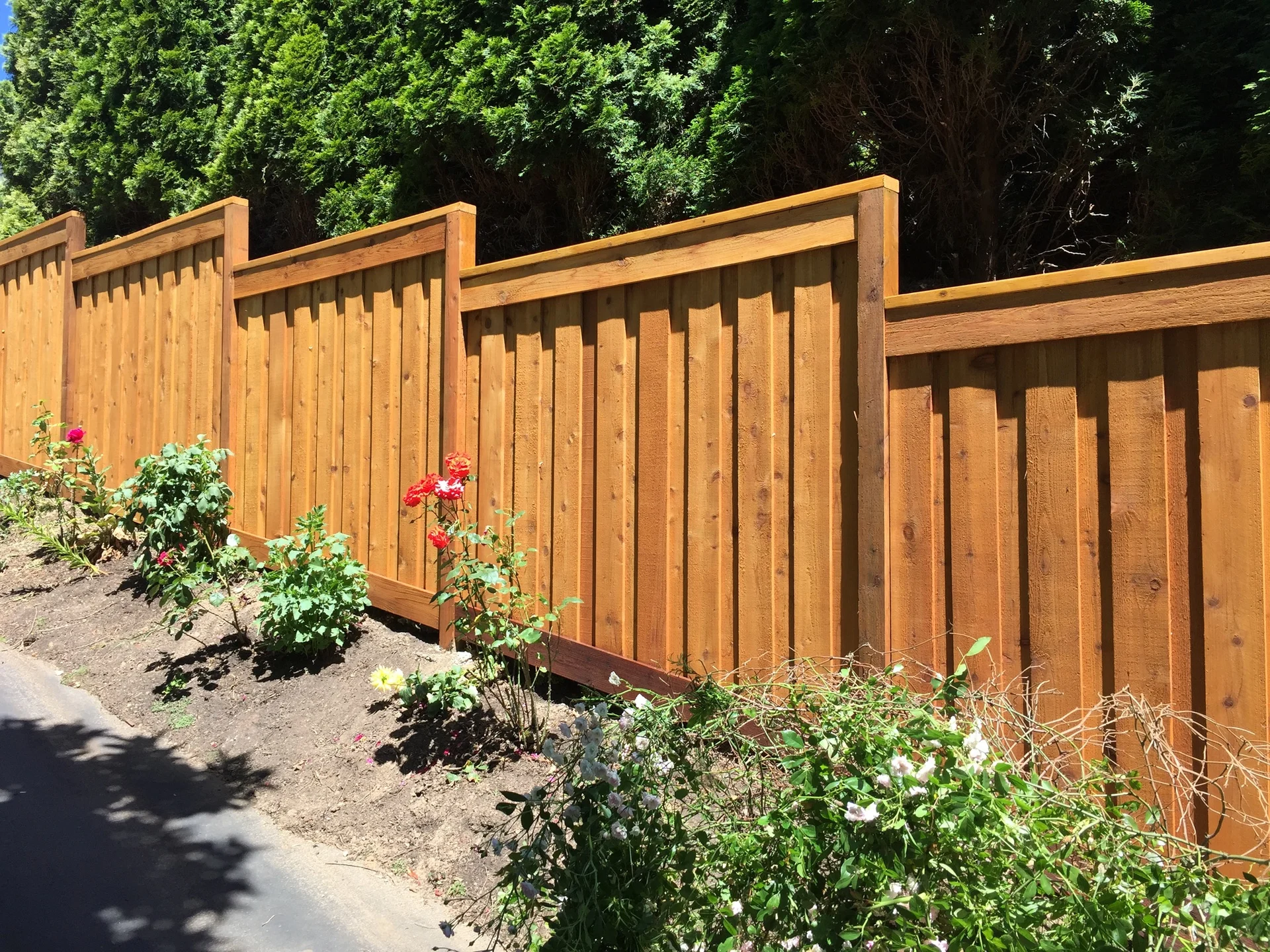 Picture-frame cedar by Adrian's Quality Fencing and Decks